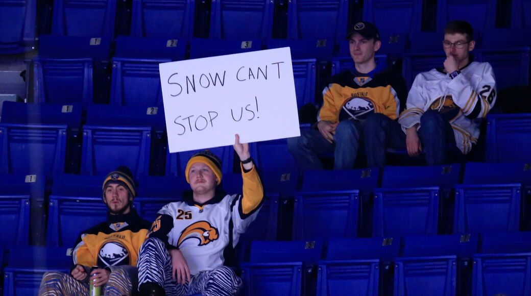 Sabres Sharks